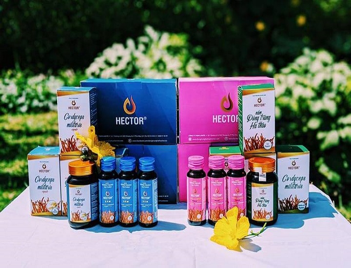 Các sản phẩm đông trùng hạ thảo Hector được ưa chuộng hiện nay